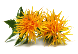 Safflower